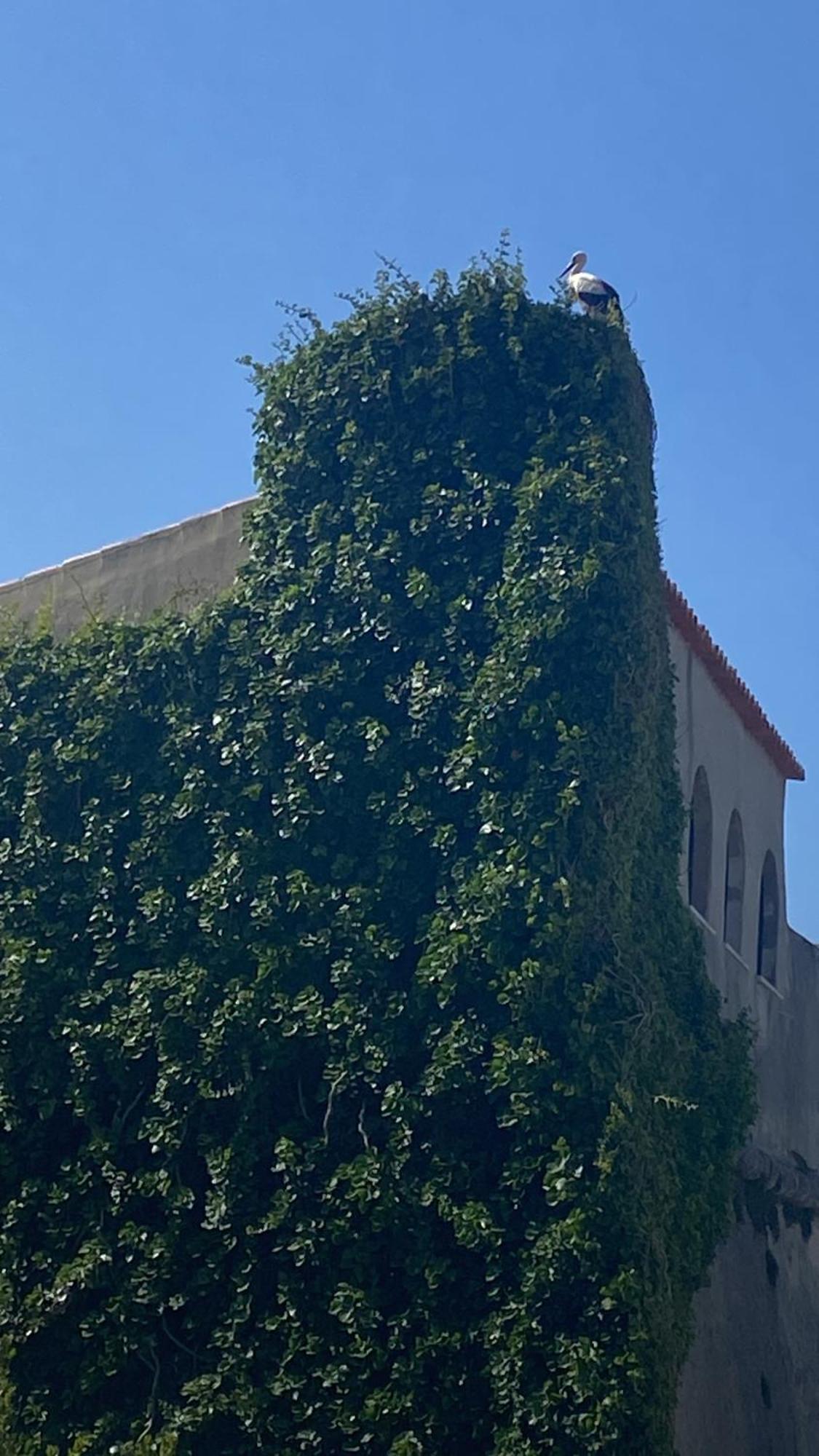 Casa Das Marias Vila Nova de Milfontes Buitenkant foto